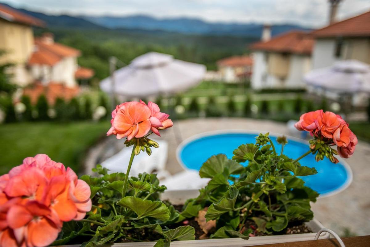 Vila Gardenia Gumostnik Kültér fotó